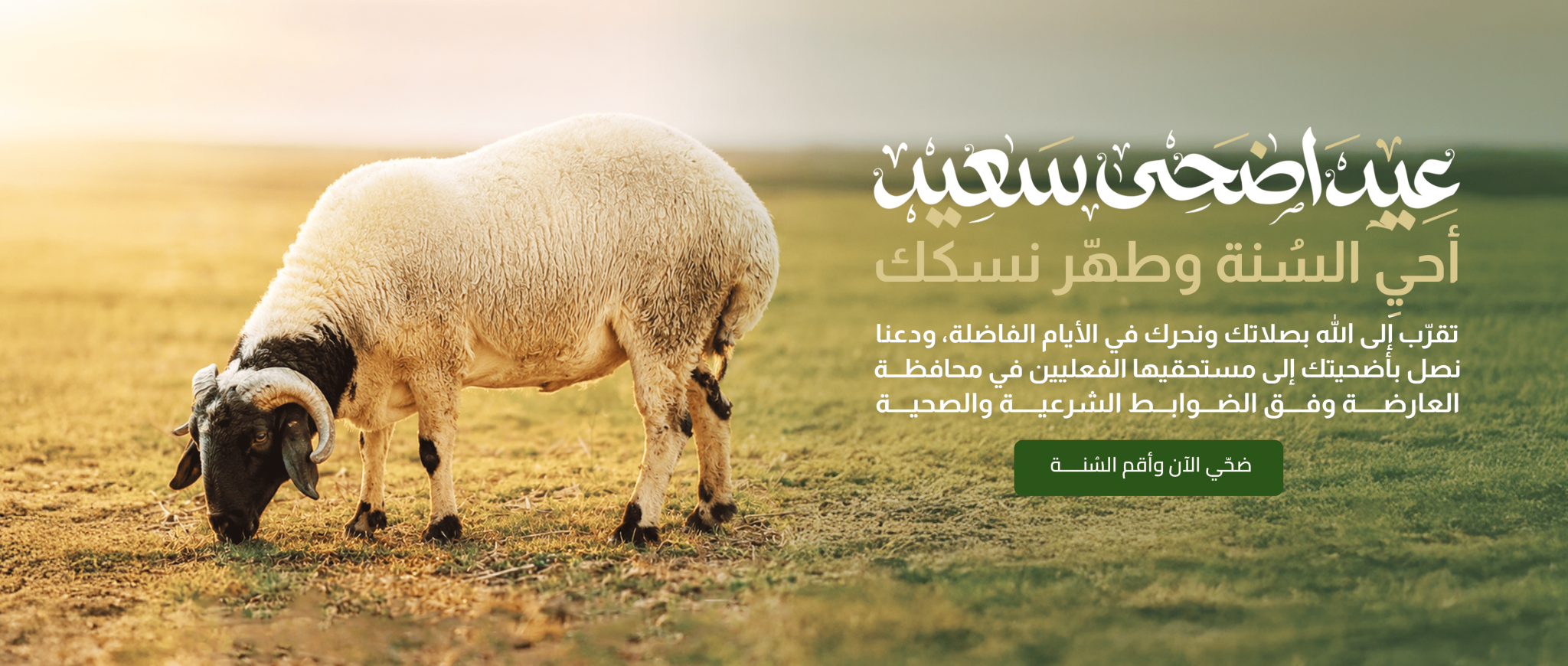 جمعية بر العارضة بجازان